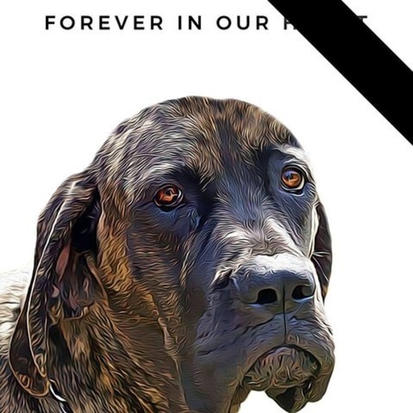 Meet your Posher, Crystal - Picture 1 of 1